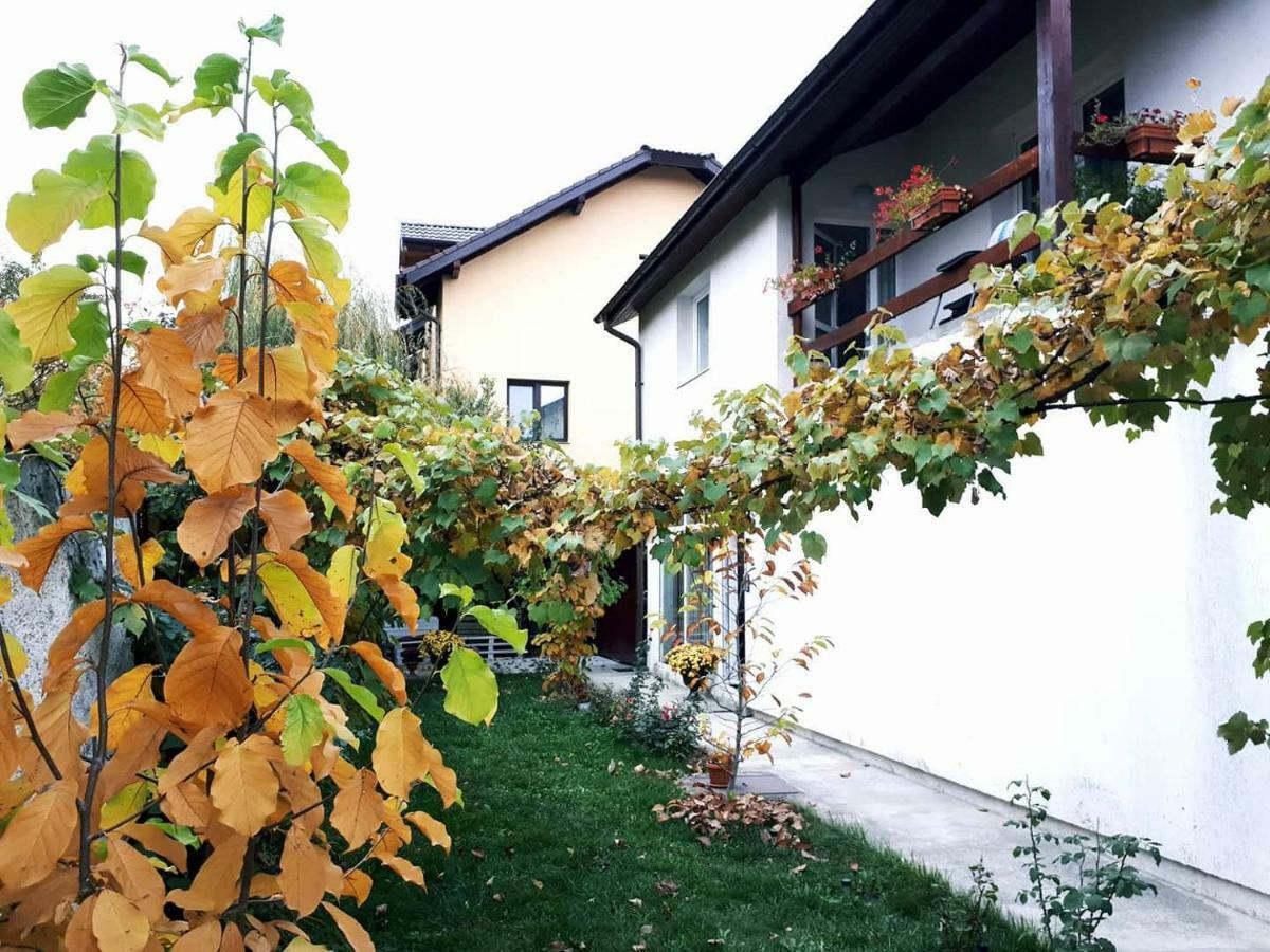 Casa Brașov
